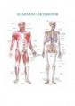 /album/fotogaleria-locomotor/images-4-jpg2/